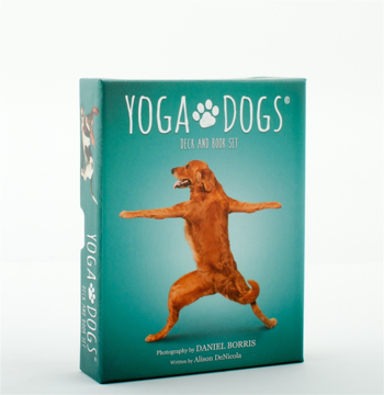Bild på Yoga Dogs Deck & Book Set