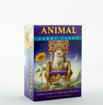 Bild på Animal Tarot Cards: A 78-Card Deck and Guidebook