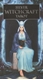 Bild på Silver Witchcraft Tarot (deck)