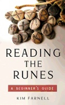 Bild på Reading The Runes : A Beginner's Guide
