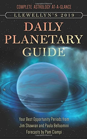 Bild på Llewellyns 2019 daily planetary guide - complete astrology at-a-glance