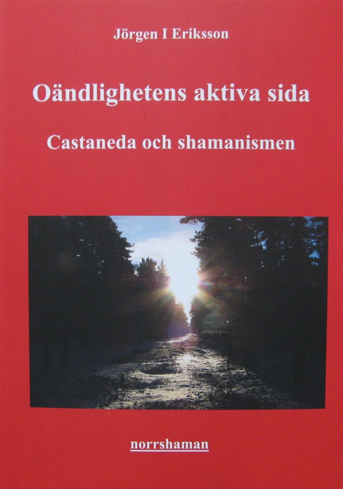 Bild på Oändlighetens aktiva sida - Castaneda och shamanismen