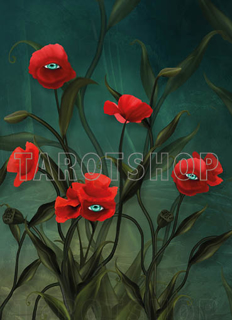 Bild på Magic Allseeing Poppies (13x18 cm)