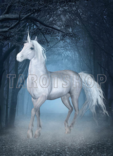 Bild på Magic Unicorn (13x18 cm)