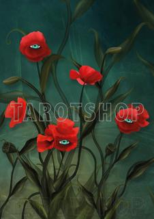 Bild på Magic Allseeing Poppies (21x30 cm)