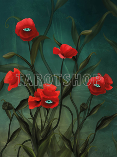 Bild på Magic Allseeing Poppies (30x40 cm)