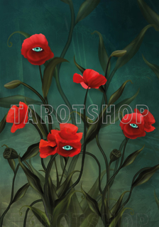 Bild på Magic Allseeing Poppies (70x100 cm)