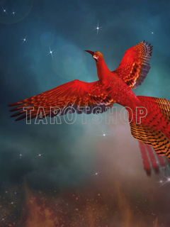 Bild på Magic Phoenix (30x40 cm)