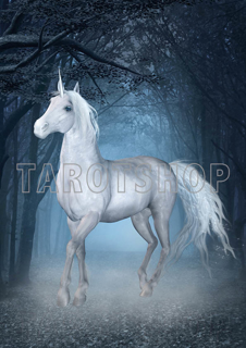 Bild på Magic Unicorn (21x30 cm)