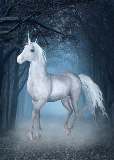 Bild på Magic Unicorn (50x70 cm)
