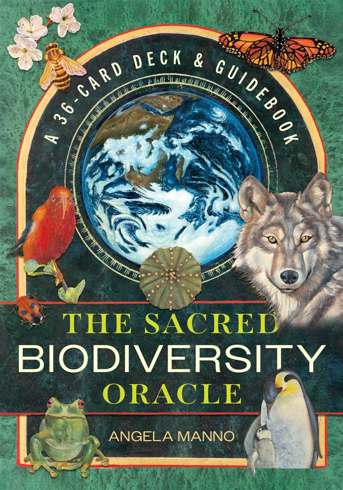 Bild på The Sacred Biodiversity Oracle: A 36-Card Deck and Guidebook