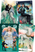 Bild på The Princess Bride Tarot Deck and Guidebook