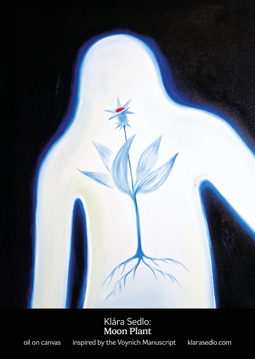 Bild på The Moon - postcard